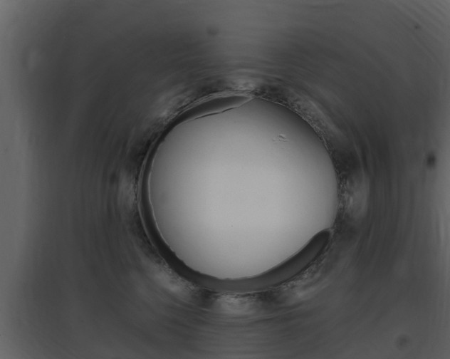 X0000097850568200803140900