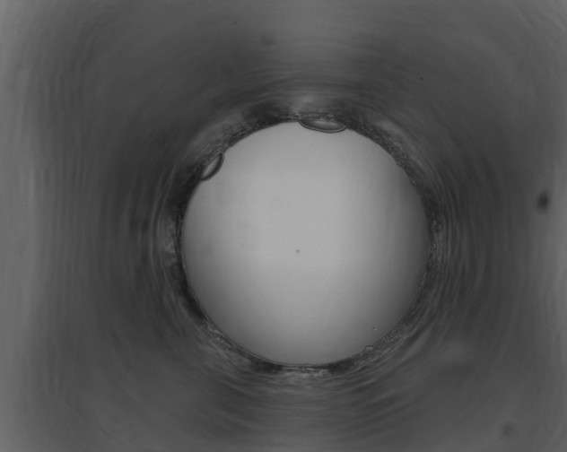 X0000097850571200803140900