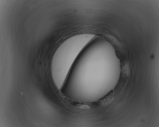 X0000097850572200803140900