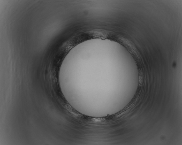 X0000097850573200803140900