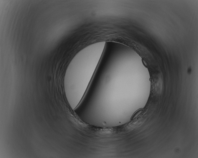X0000097850574200803140900