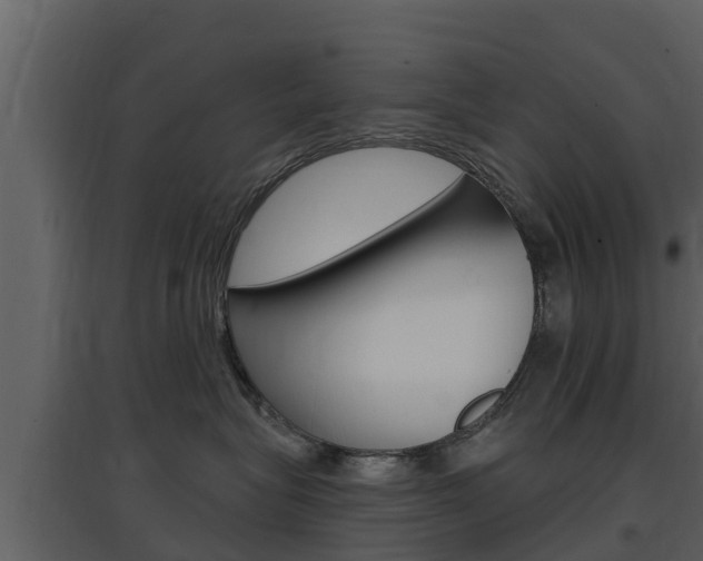X0000097850575200803140900