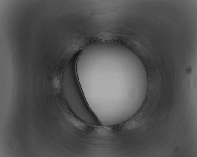 X0000097850576200803140900