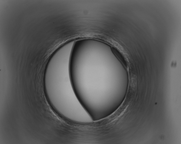 X0000097850577200803140859