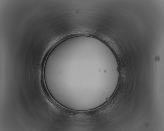 X0000097850578200803140859