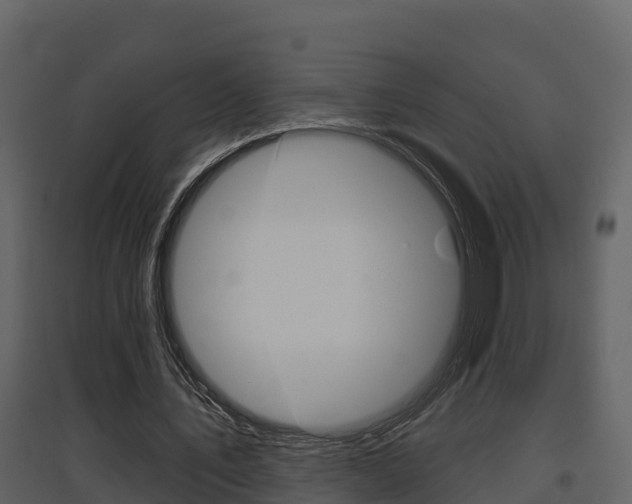 X0000097850579200803140859
