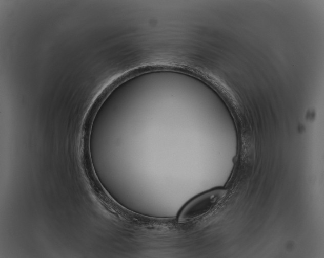 X0000097850580200803140859