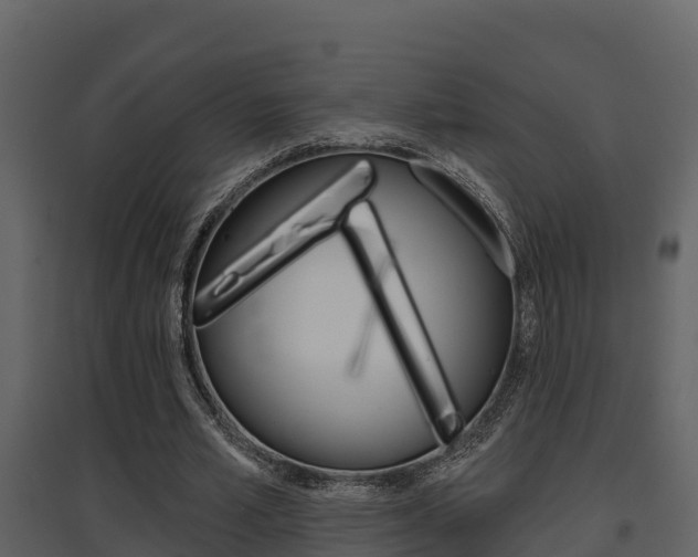 X0000097850581200803140859