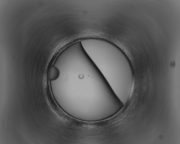 X0000097850582200803140859