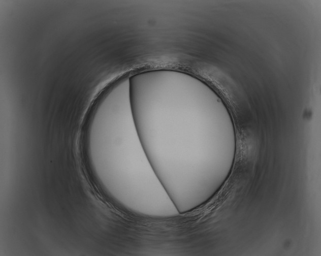 X0000097850583200803140859