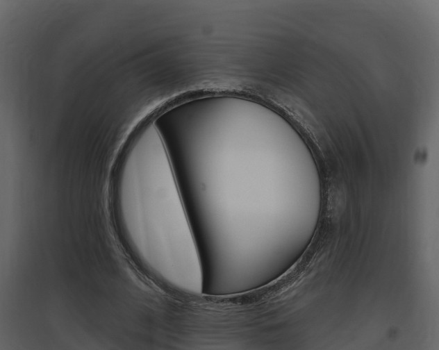 X0000097850584200803140859