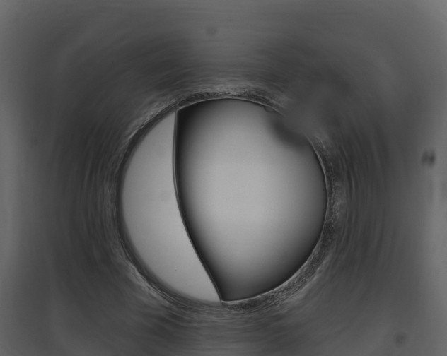 X0000097850585200803140859