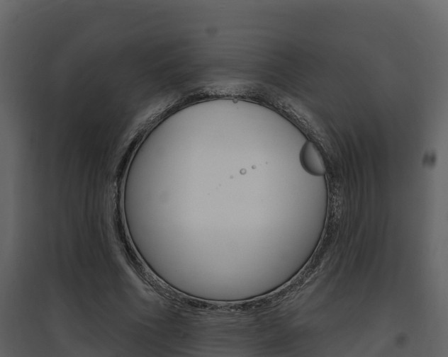 X0000097850586200803140859