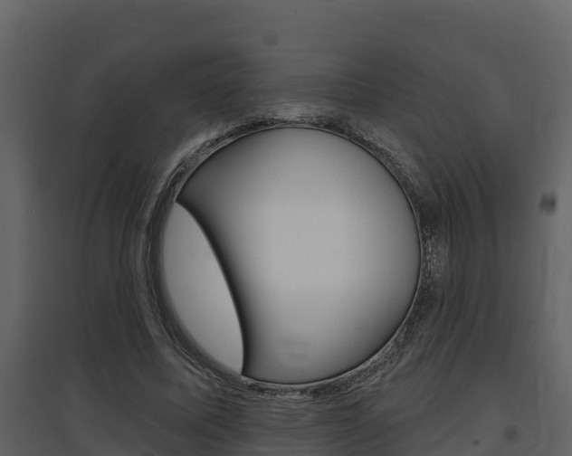 X0000097850587200803140859