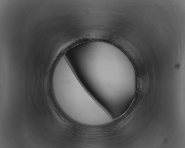 X0000097850588200803140859