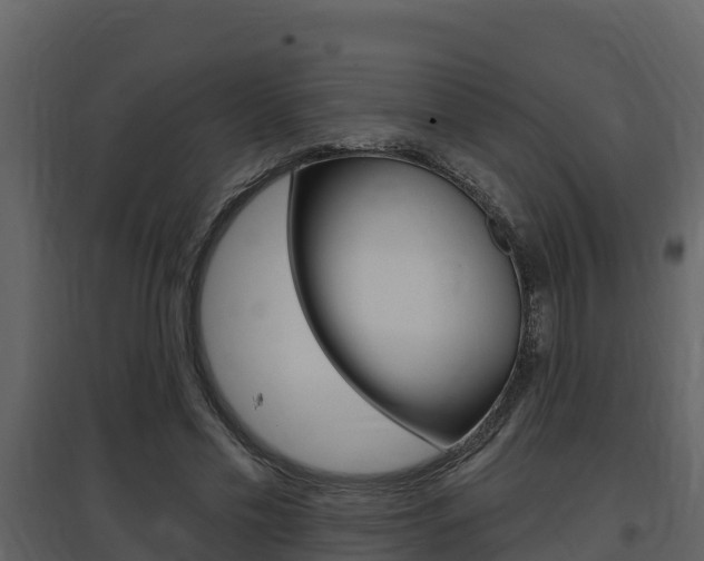 X0000097850589200803140859