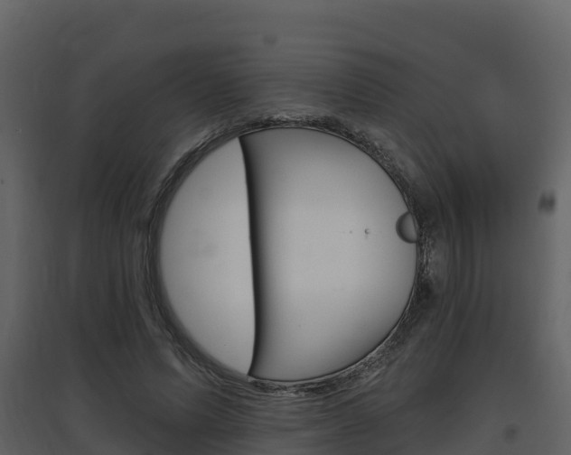 X0000097850591200803140859