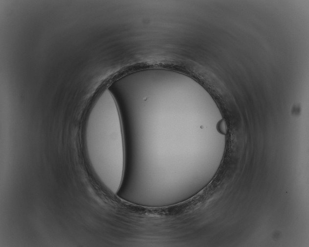 X0000097850592200803140859