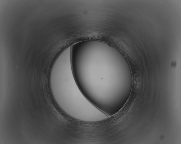X0000097850593200803140859