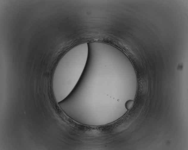 X0000097850594200803140859