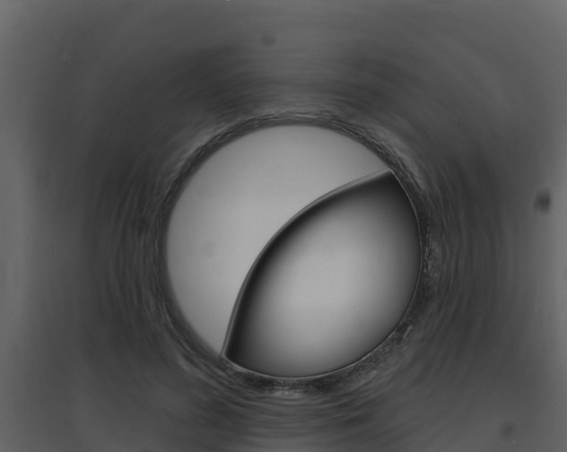 X0000097850596200803140859