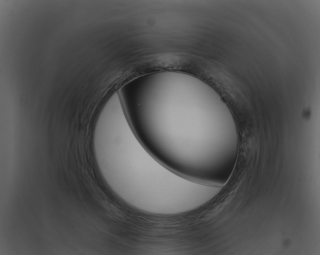 X0000097850597200803140859