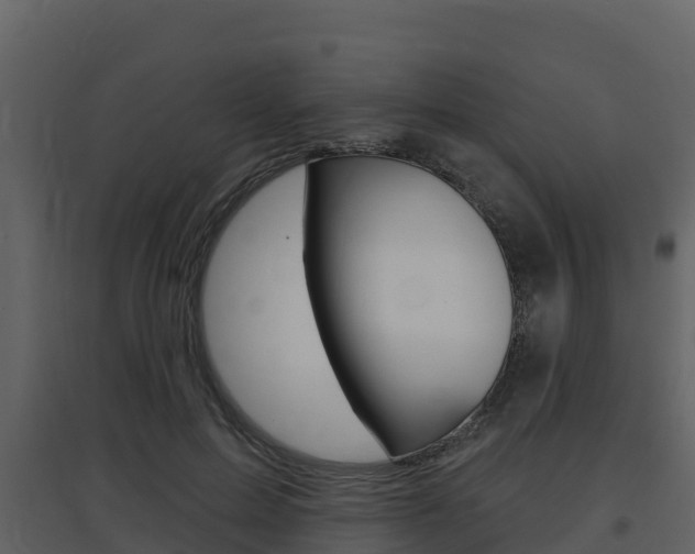 X0000097850599200803140859