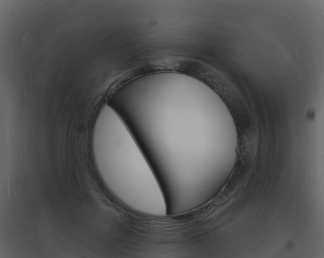 X0000097850600200803140859