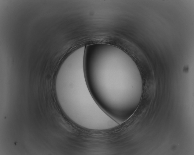 X0000097850601200803140859