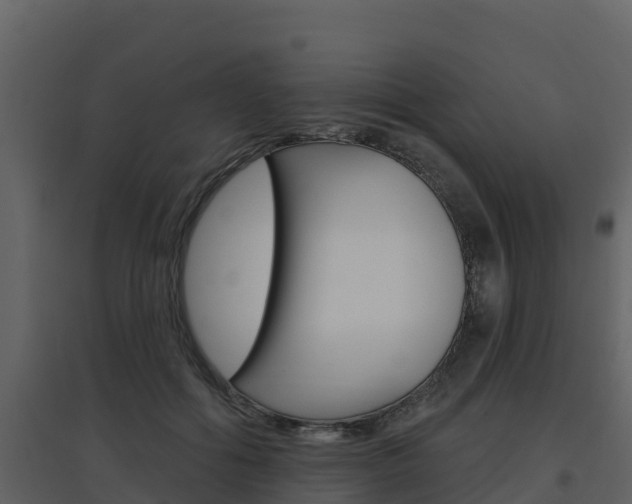 X0000097850602200803140859