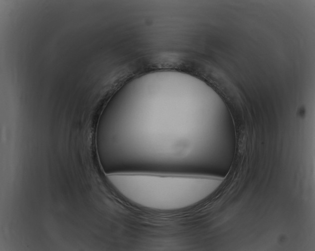 X0000097850604200803140859