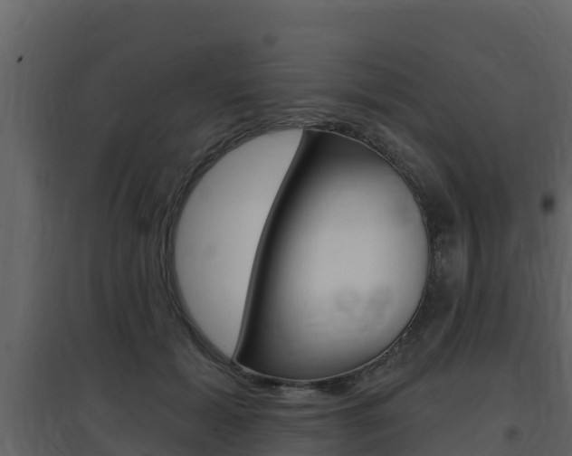 X0000097850605200803140859