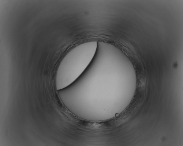 X0000097850607200803140859