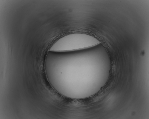 X0000097850608200803140859