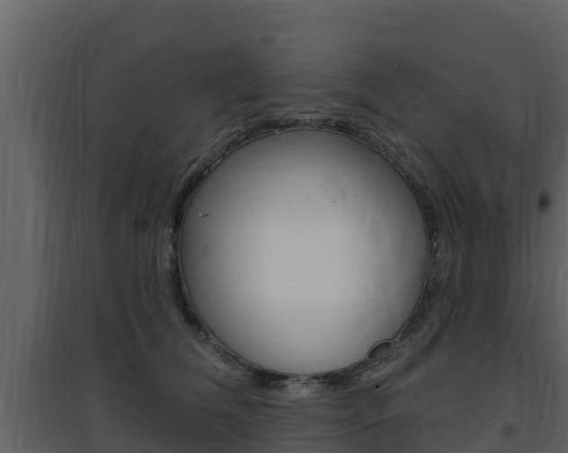 X0000097850612200803140859