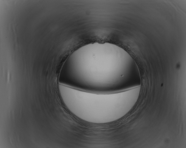 X0000097850613200803140859