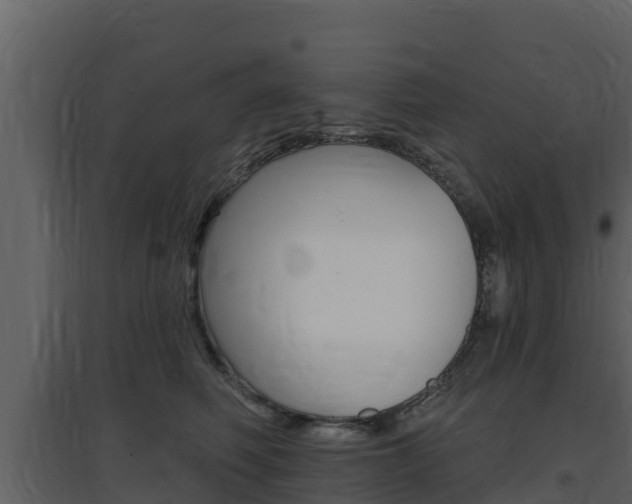 X0000097850614200803140859
