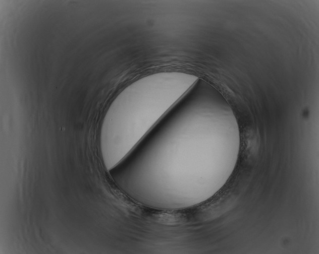 X0000097850615200803140859