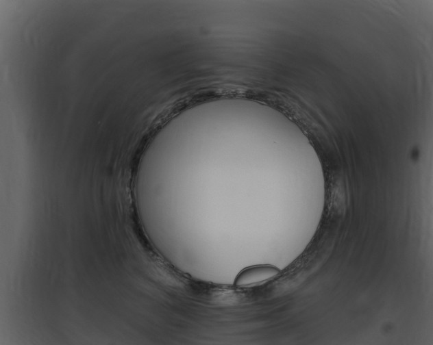 X0000097850616200803140859