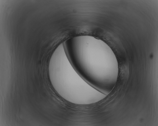 X0000097850617200803140858