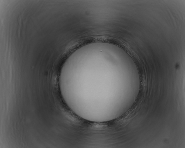 X0000097850619200803140858