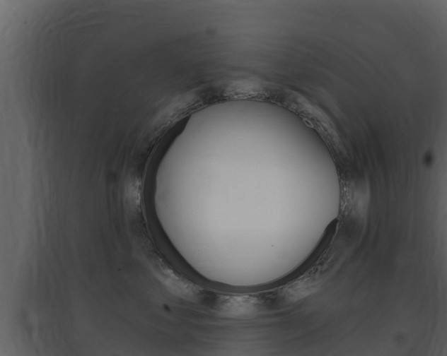 X0000097850621200803140858