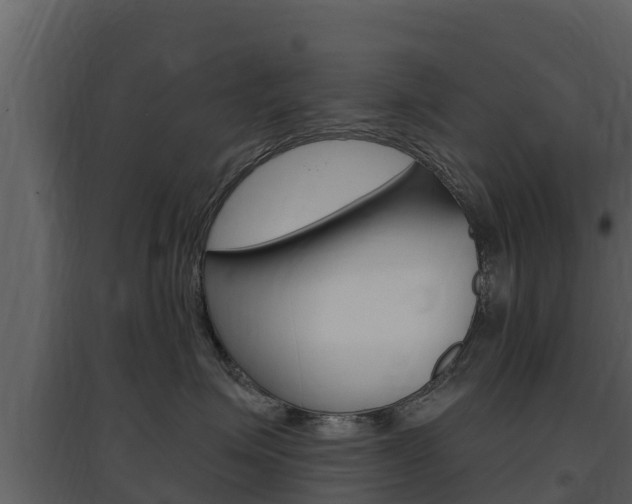 X0000097850623200803140858