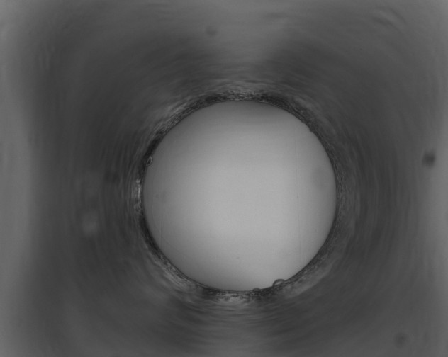 X0000097850624200803140858
