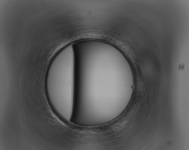 X0000097850625200803140858