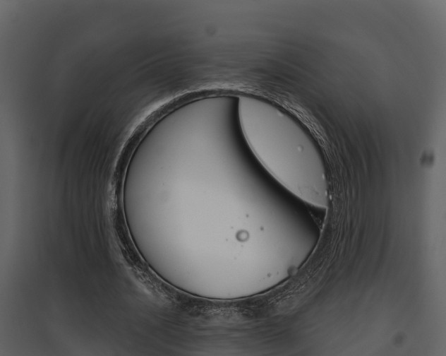 X0000097850628200803140858