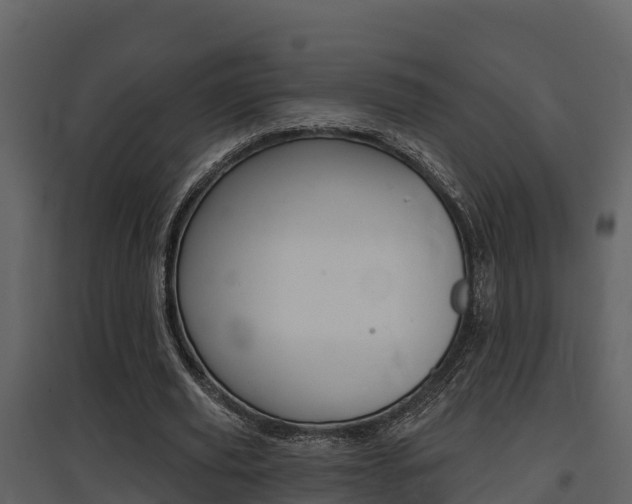 X0000097850629200803140858