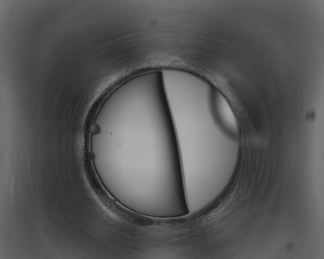 X0000097850630200803140858