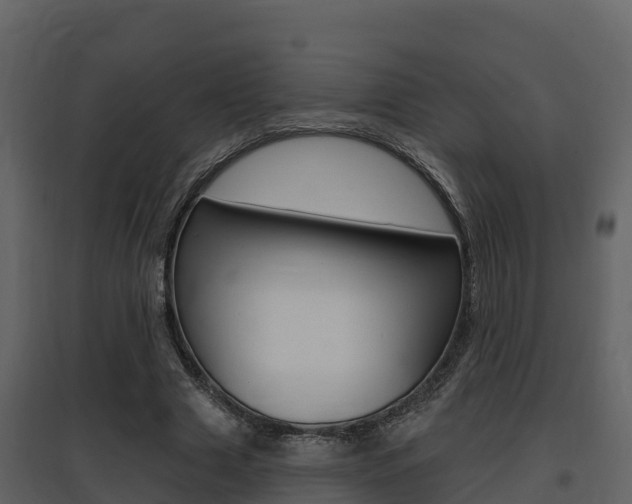 X0000097850633200803140858