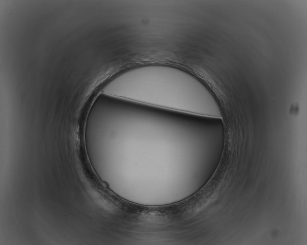 X0000097850634200803140858